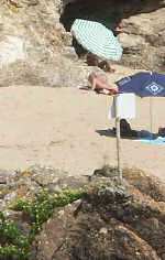 La petite vall�e : Le panneau signal�tique cass�