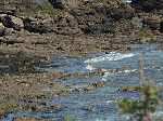 La petite vall�e : partie naturiste
