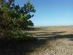 Pen Bron : Les dunes 