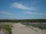 Pen Bron : Ganivelles & dunes & for�t