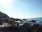 Prefailles : la plage naturiste